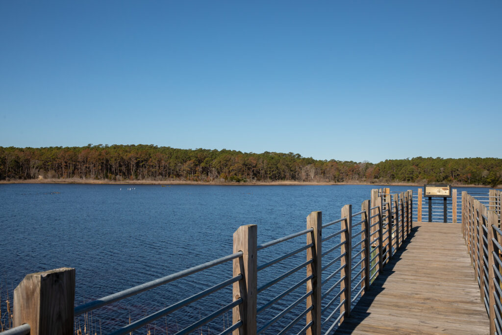 A Nature Lover's Guide to Myrtle Beach - Breakers Myrtle Beach Resort