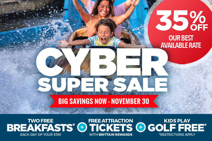 Cyber Super Sale - 35% OFF