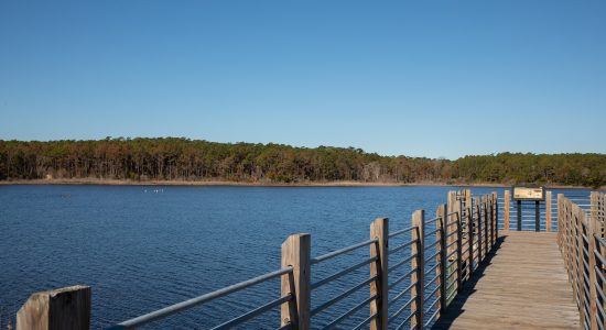 HUNTINGTON STATE PARK NATURE (22)