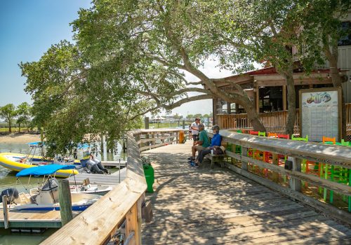 Murrells_Inlet_Marshwalk_OverhangTree